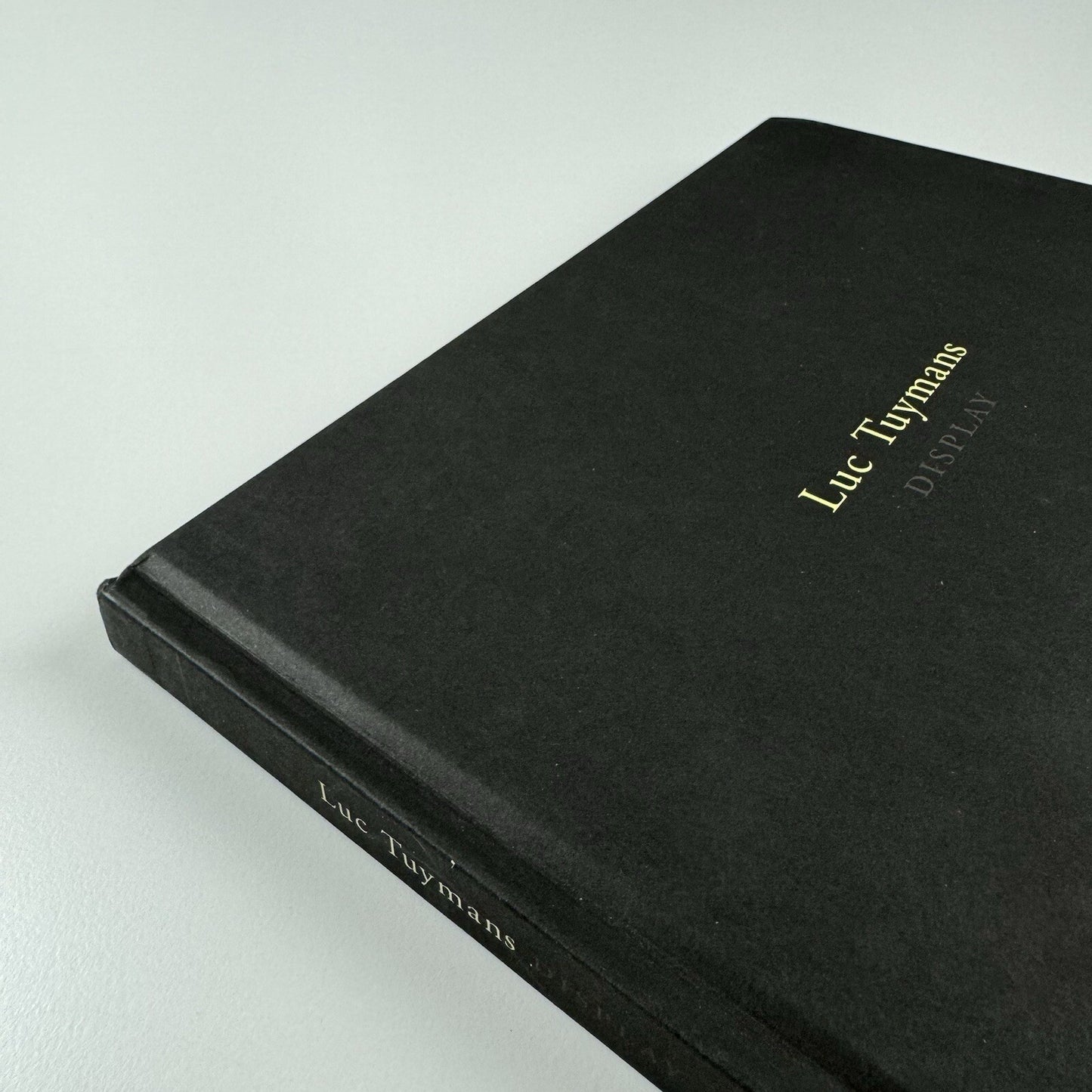 Luc Tuymans. Display | Helsinki Kunsthalle and Centro de Arte de Salamanca | 2003-04 exhibition catalogue