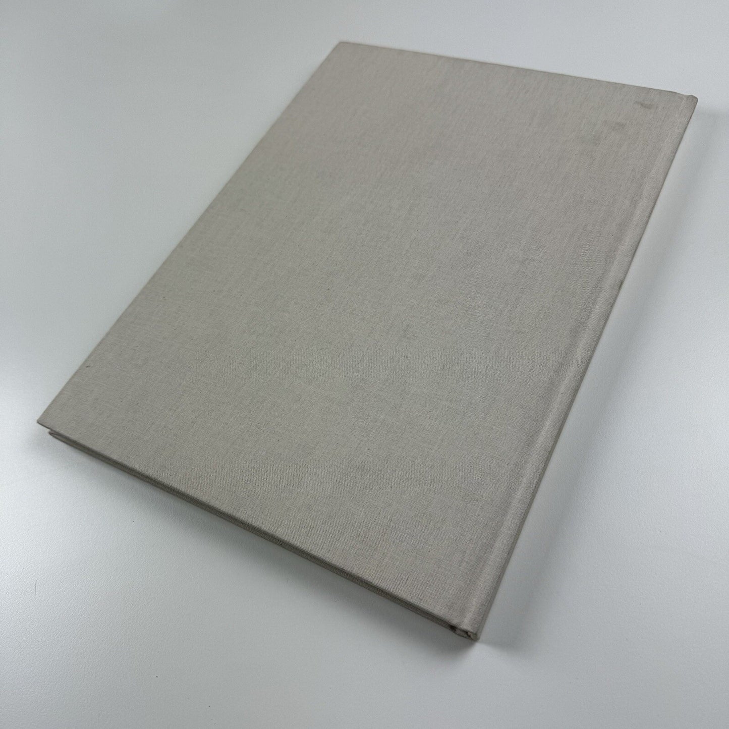 Håvard Homstvedt: You Will Hardly Know | Galleri Riis, 2008 catalogue