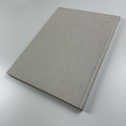 Håvard Homstvedt: You Will Hardly Know | Galleri Riis, 2008 catalogue