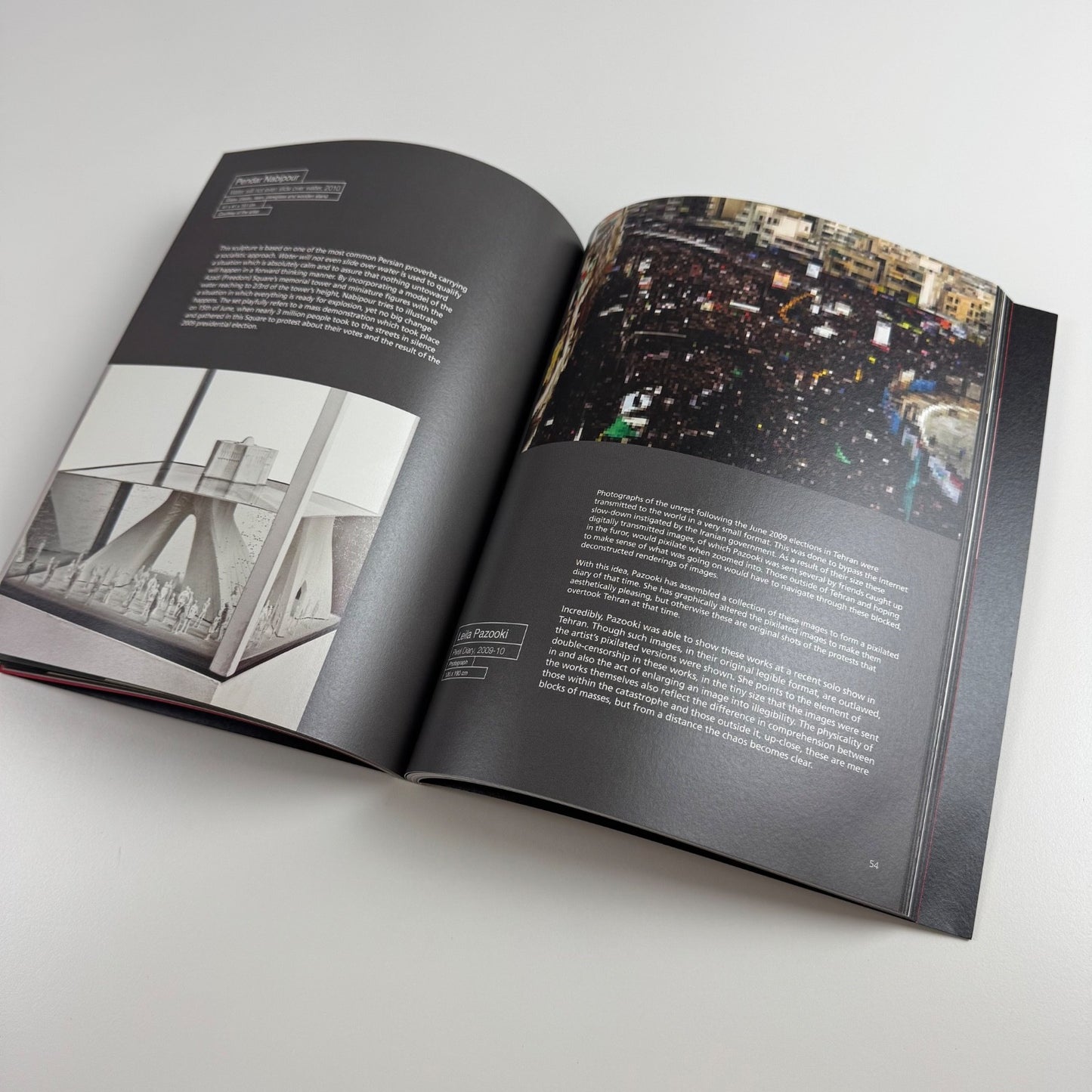 The Elephant in the Dark | Delvi Art Foundation, New Delhi, 2012 curated by Amirali Ghasemi