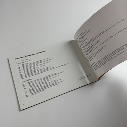 Andrew Stones. Crowd Control | Site Gallery Sheffield, 1996
