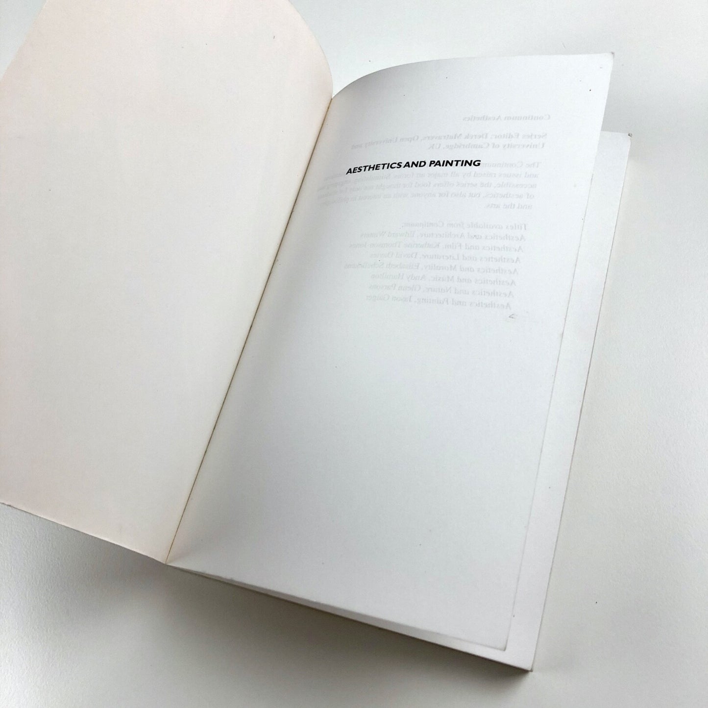 Aesthetics & Painting by Jason Gaiger | Continuum, 2008