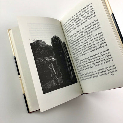 The Pool of the Black Witch by 'BB' / Denys Watkins-Pitchford | Methuen, 1977