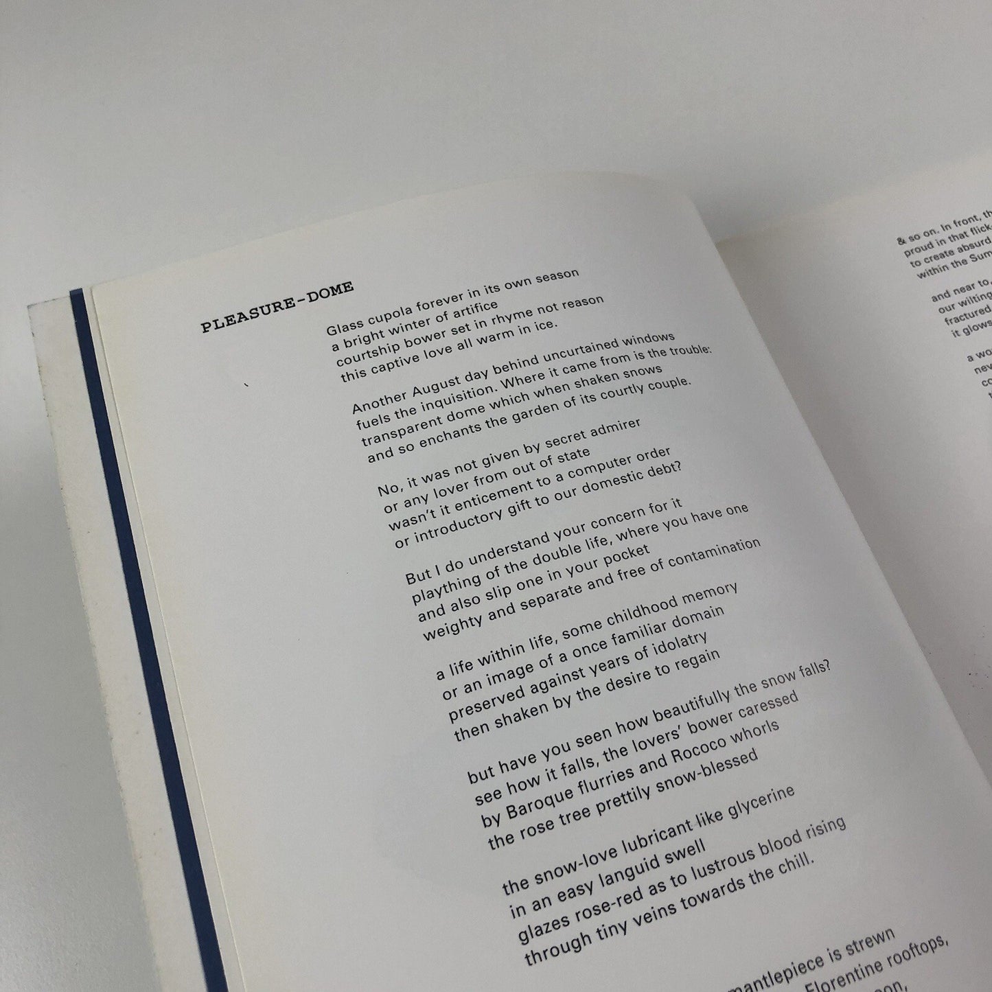 Pleasure-Dome Paintings by Christopher Cook | Essay by Tony Godfrey, 1995