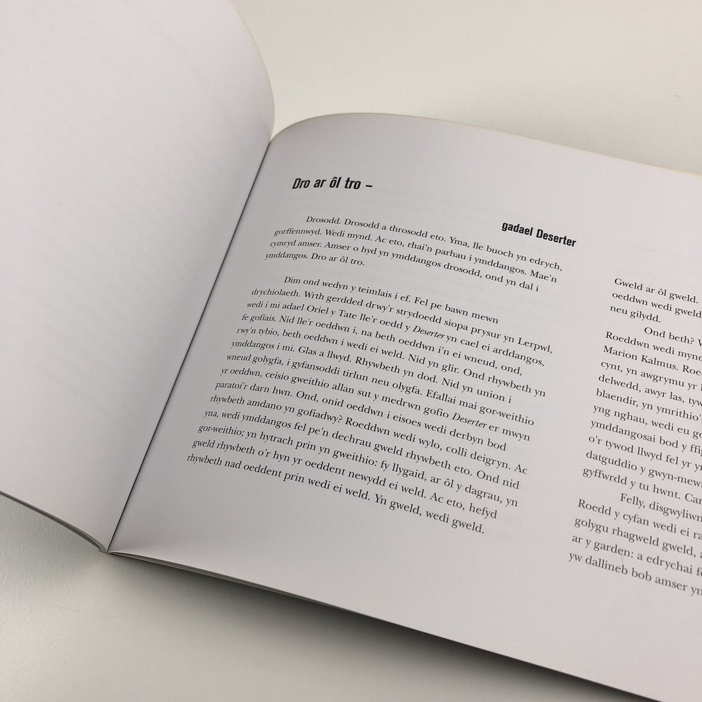 Marion Kalmus. Deserter | Chapter, Oriel 31, Moviola 1995 | Exhibition catalogue