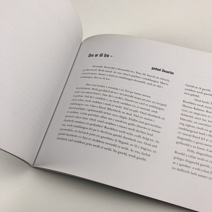 Marion Kalmus. Deserter | Chapter, Oriel 31, Moviola 1995 | Exhibition catalogue
