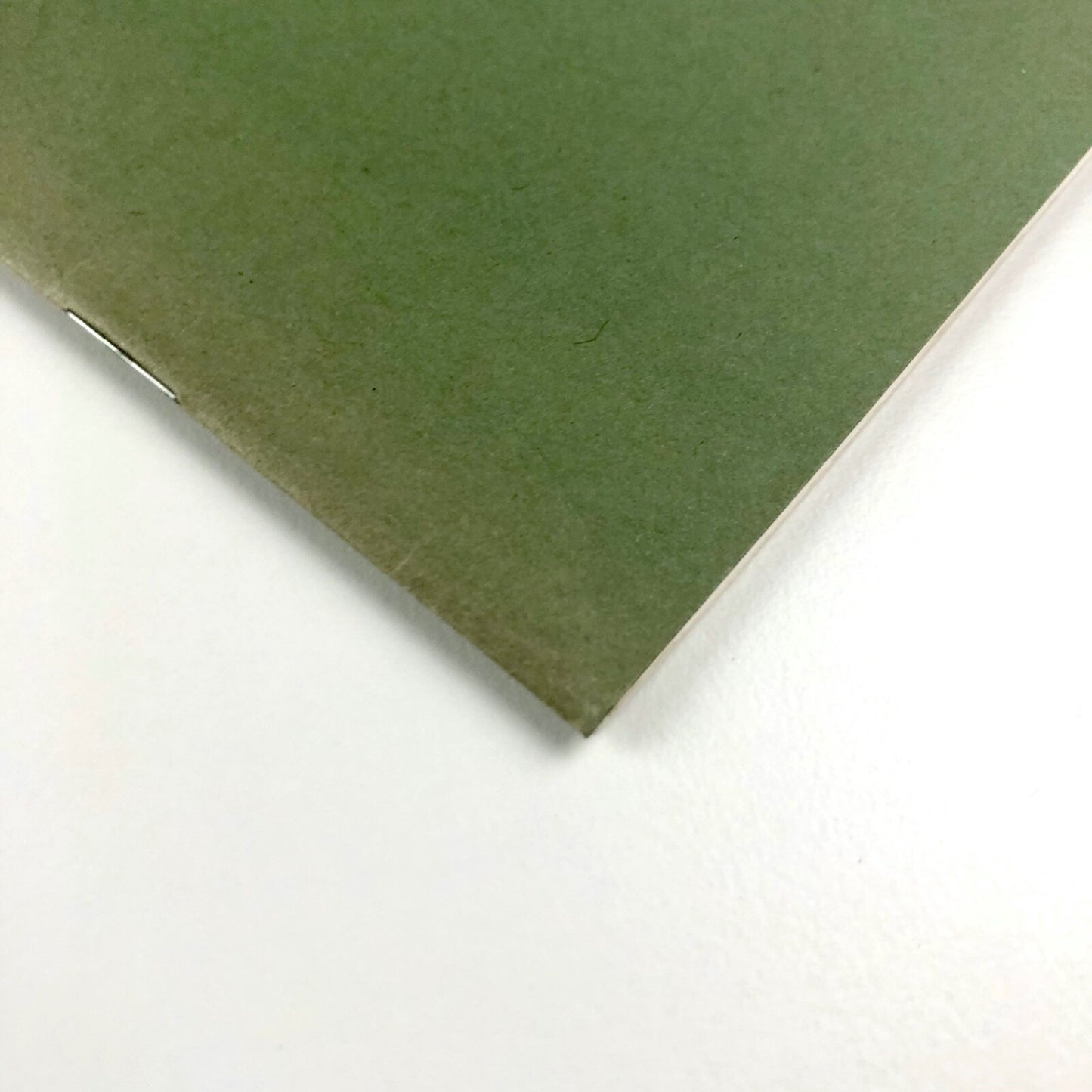 Rampant Lions Press Newsletter & Book List 1995