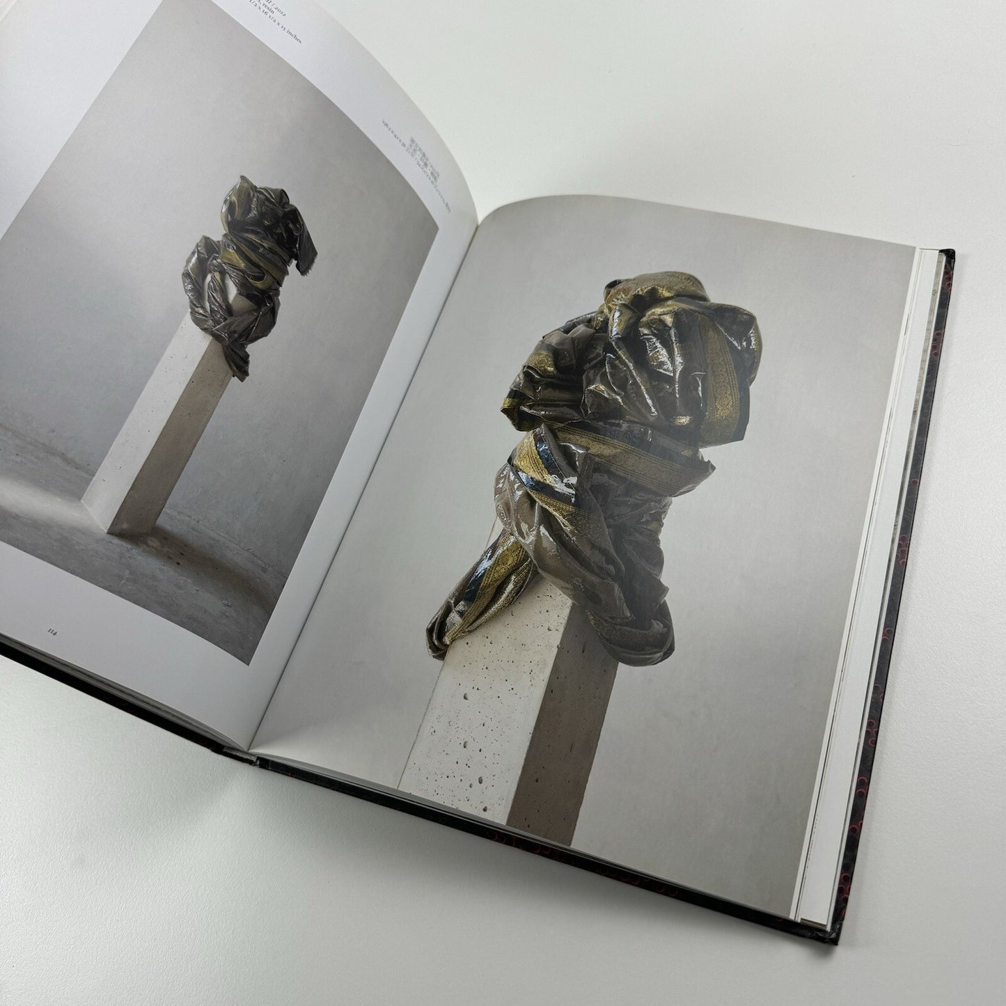 Bharti Kher – Blind, eyes open | Galerie Perrotin 2012 catalogue