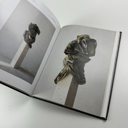 Bharti Kher – Blind, eyes open | Galerie Perrotin 2012 catalogue