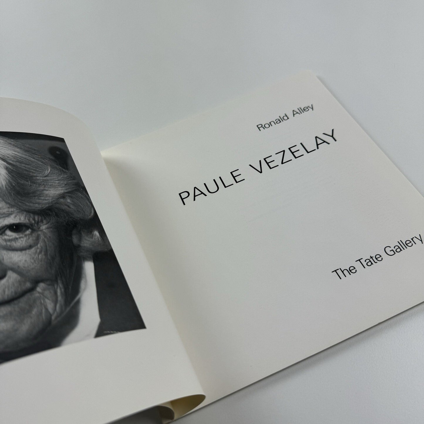 Paul Vezelay by Ronald Alley | Tate Gallery exhibition catalogue, 1983