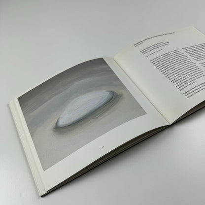 Vicken Parsons. Your Light | Christine Koenig Gallery, Vienna catalogue, 2005