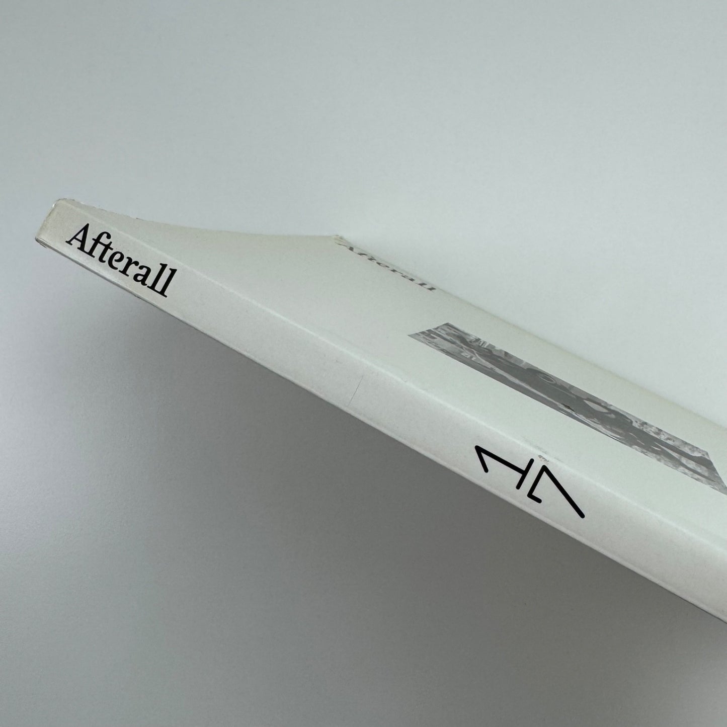 Afterall: A Journal of Art, Context and Inquiry, 17 Spring 2008