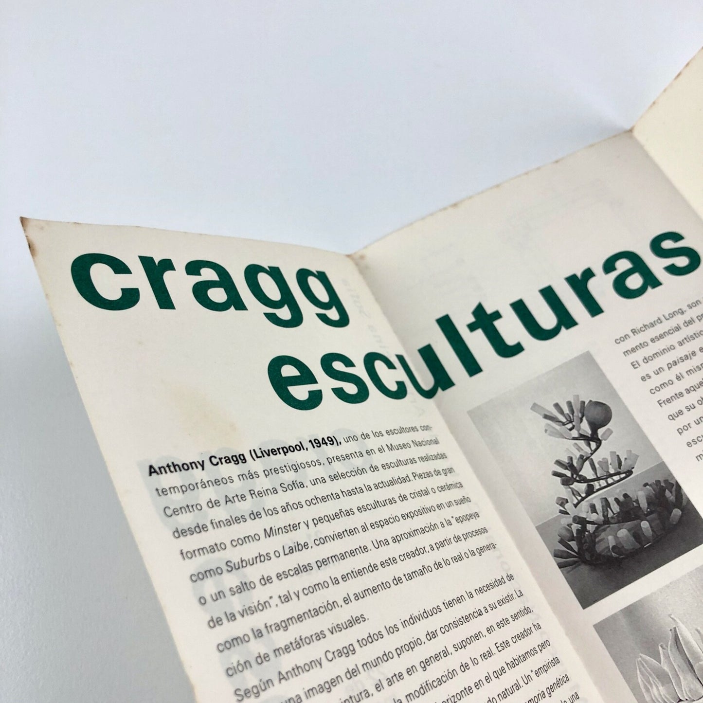 Anthony (Tony) Cragg esculturas | Museo Nacional Centro de Arte Reina Sofia, 1995