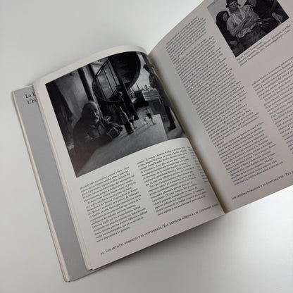 The Light of the North | Museo Nacional Centro de Arte, Madrid, 1995