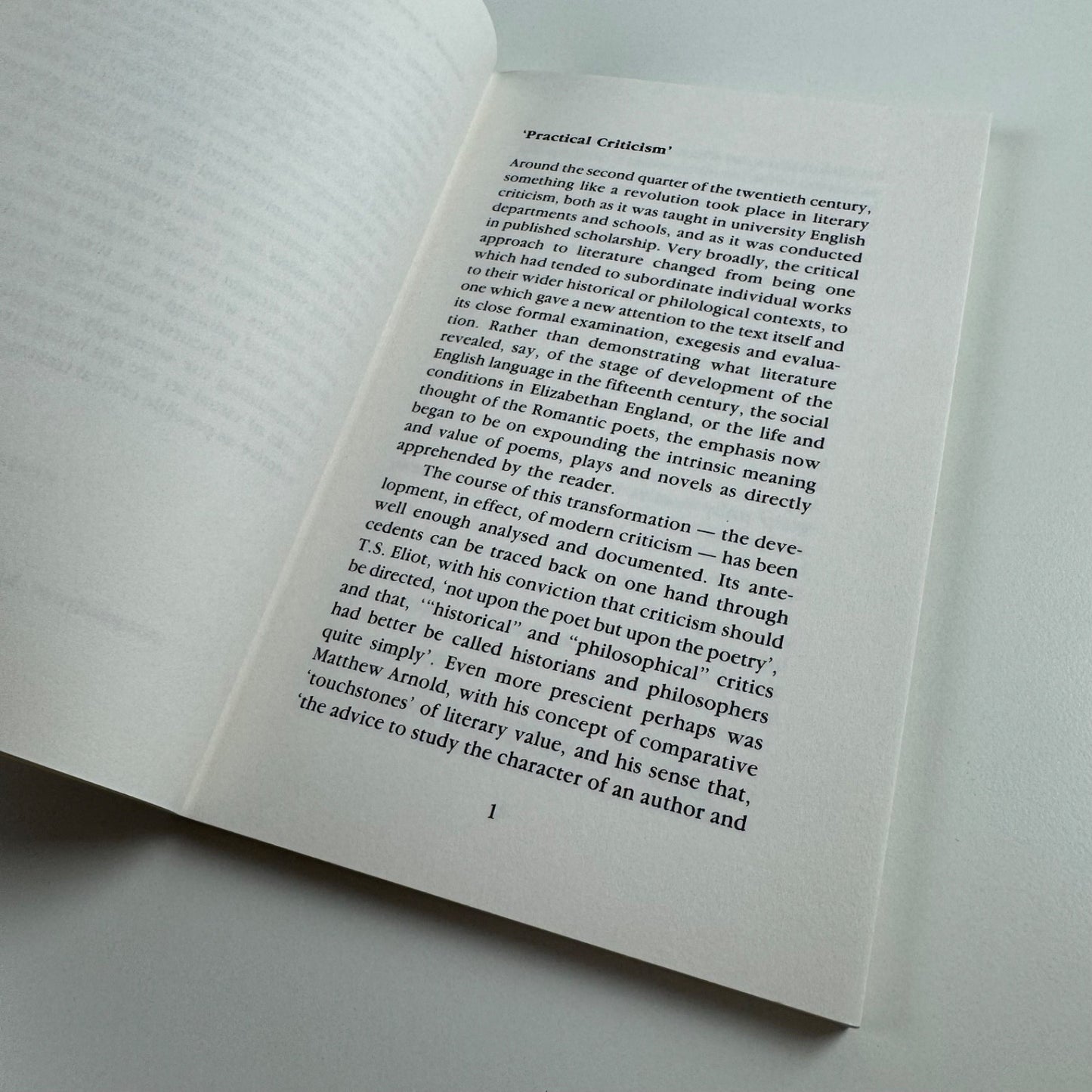 Engaging images. Practical Criticism & Visual Art by Merlin James | Menard Press King's College 1992