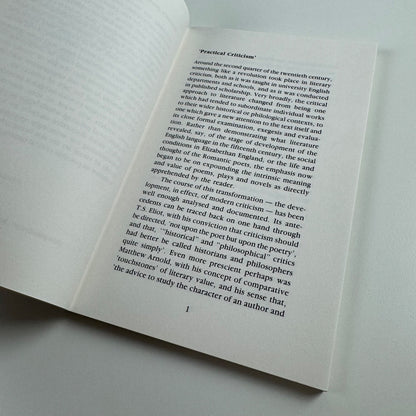 Engaging images. Practical Criticism & Visual Art by Merlin James | Menard Press King's College 1992