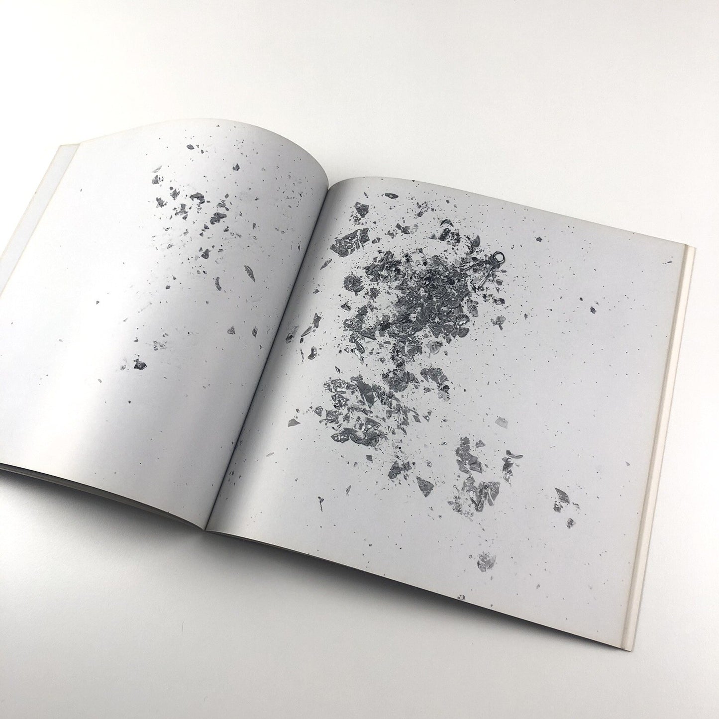 Cornelia Parker: A catalogue of disasters | Edward Woodman, Book Works 1993
