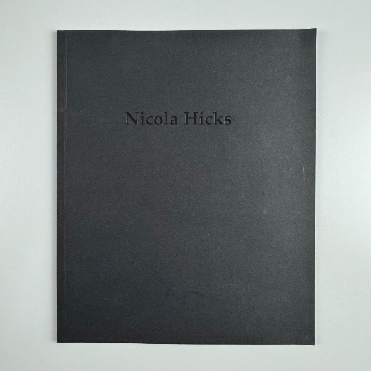 Nicola Hicks. The camel that broke the straw’s back. Will Self | Flowers East, 1998