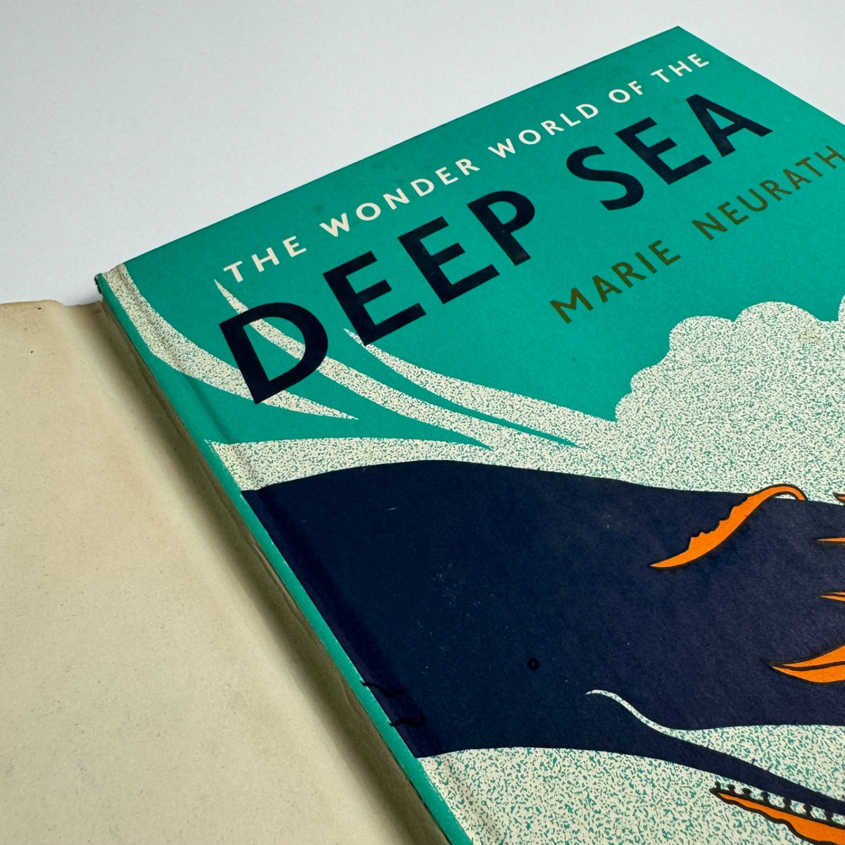 The Wonder World of the Deep Sea by Marie Neurath | Max Parrish, 1955 Isotype Institute