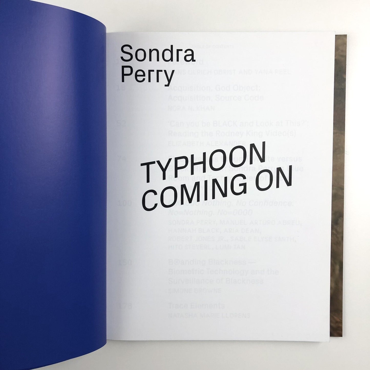 Sondra Perry. Typhoon Coming On | Serpentine Galleries exhibition catalogue, 2018