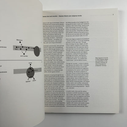 Romance in the Age of Uncertainty | Damien Hirst | White Cube catalogue | Jay Jopling, 2003