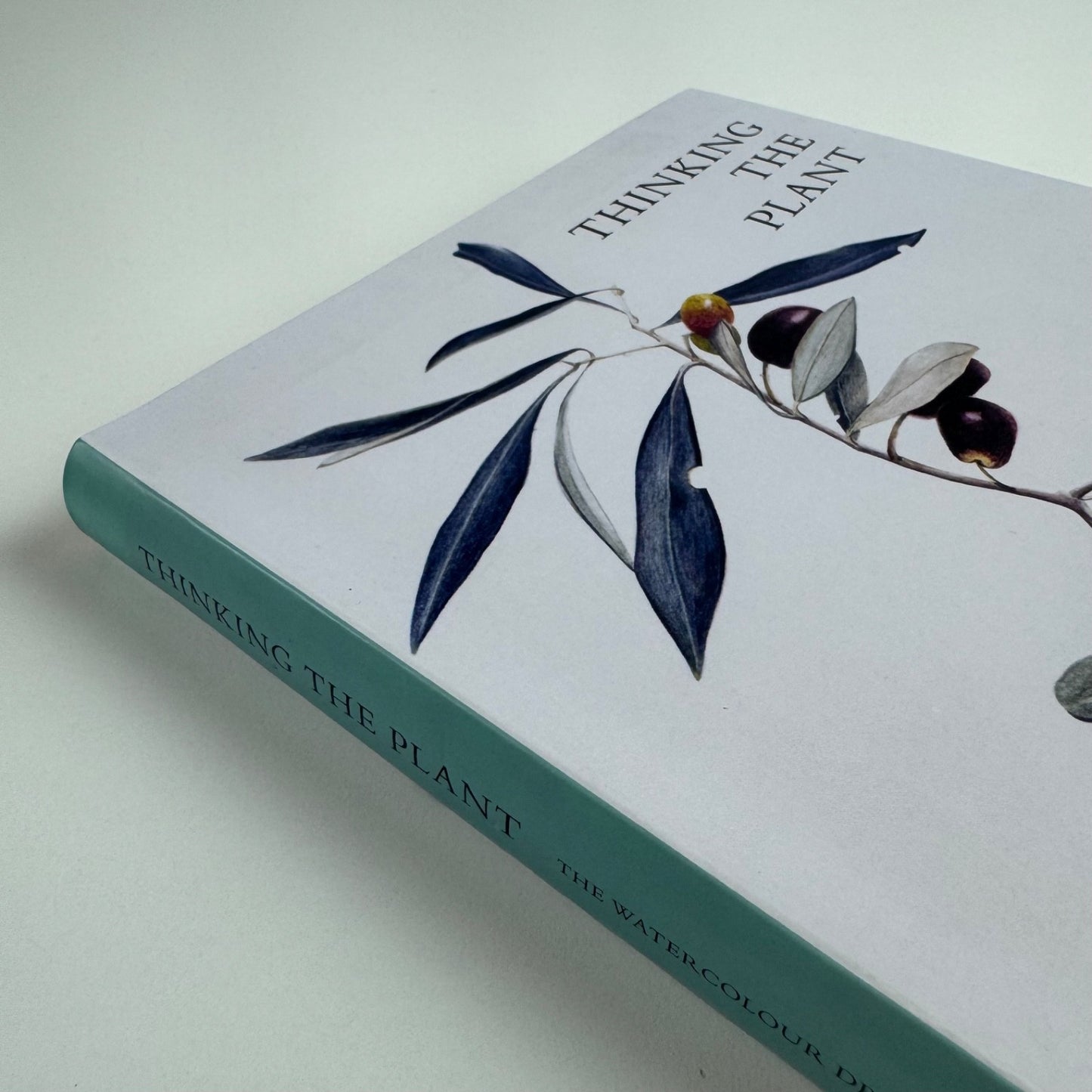 Thinking the Plant. The watercolour drawings of Rebecca John | Pimpernel Press, 2020