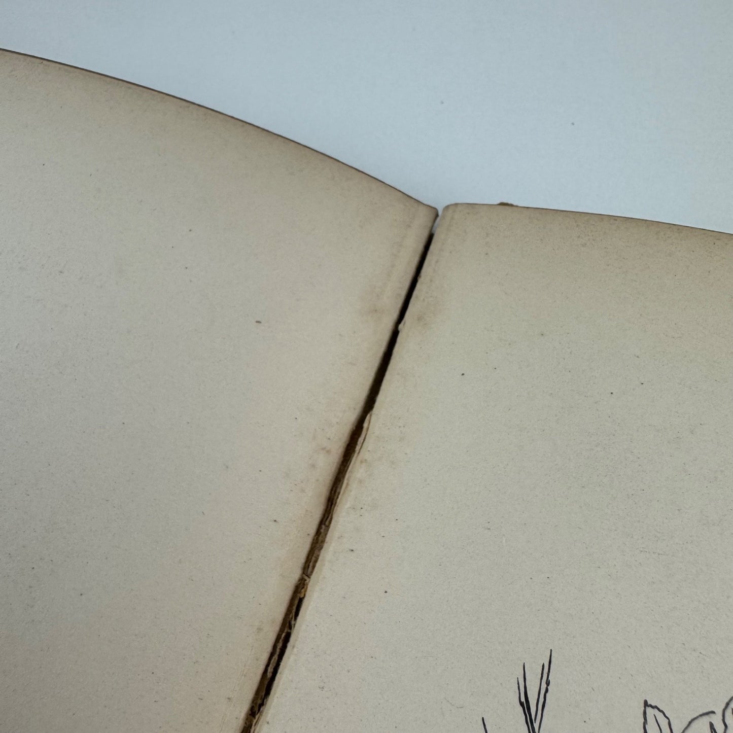 Three Sunsets and Other Poems by Lewis Carroll | Macmillan, 1898 | bookplate and inscription for Nancy Marsh