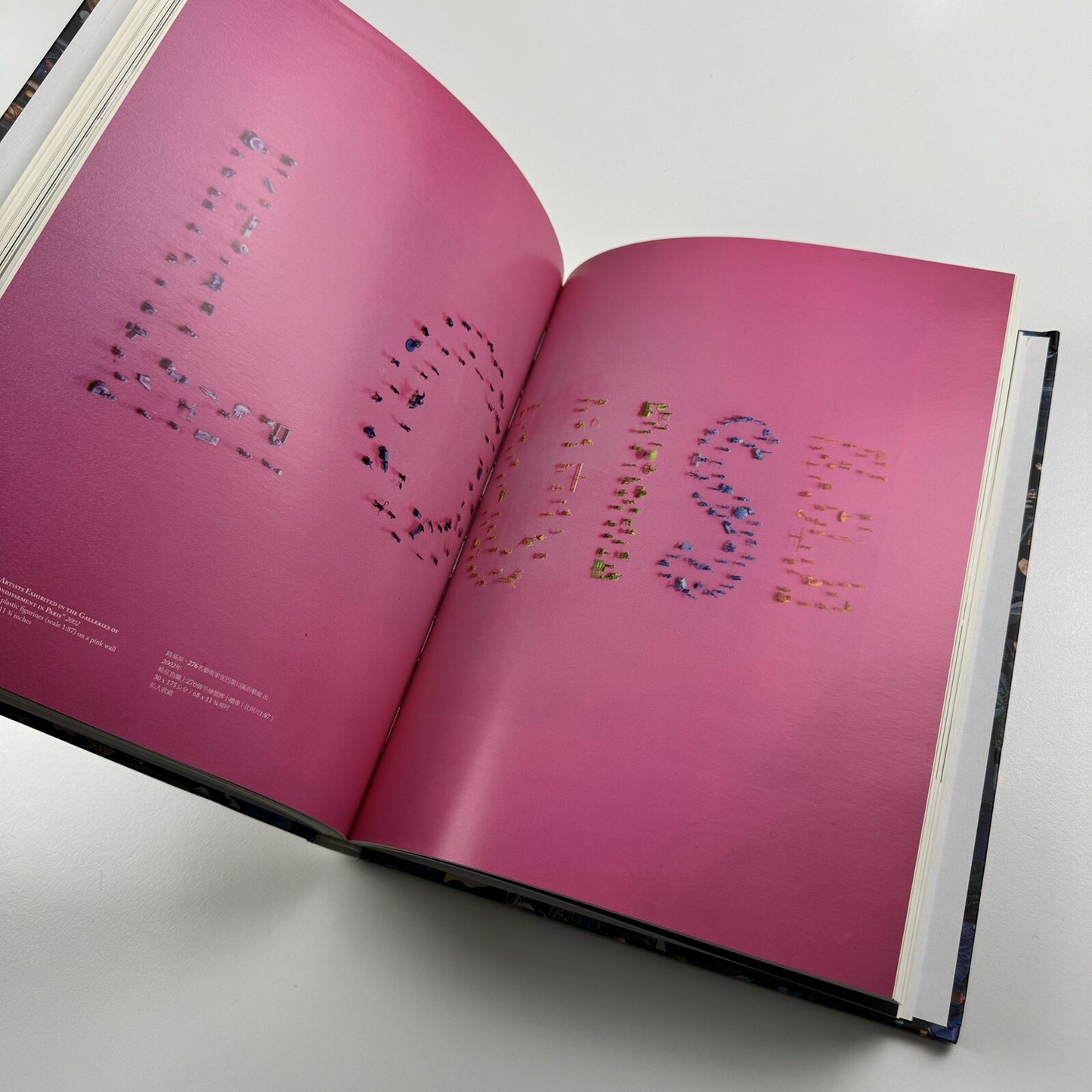 Guy Limone – Amongst | Galerie Perrotin 2012 exhibition catalogue
