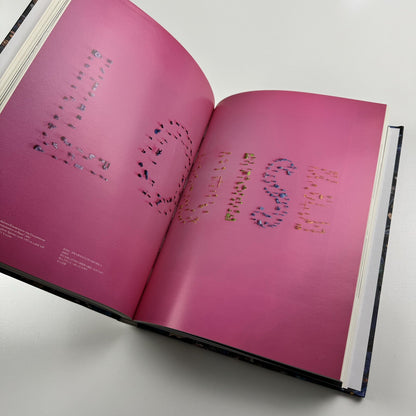 Guy Limone – Amongst | Galerie Perrotin 2012 exhibition catalogue