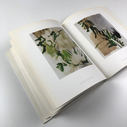 Claus Carstensen – The Sao Paulo Project And Related Work| Exhibition catalogue, 1992-94