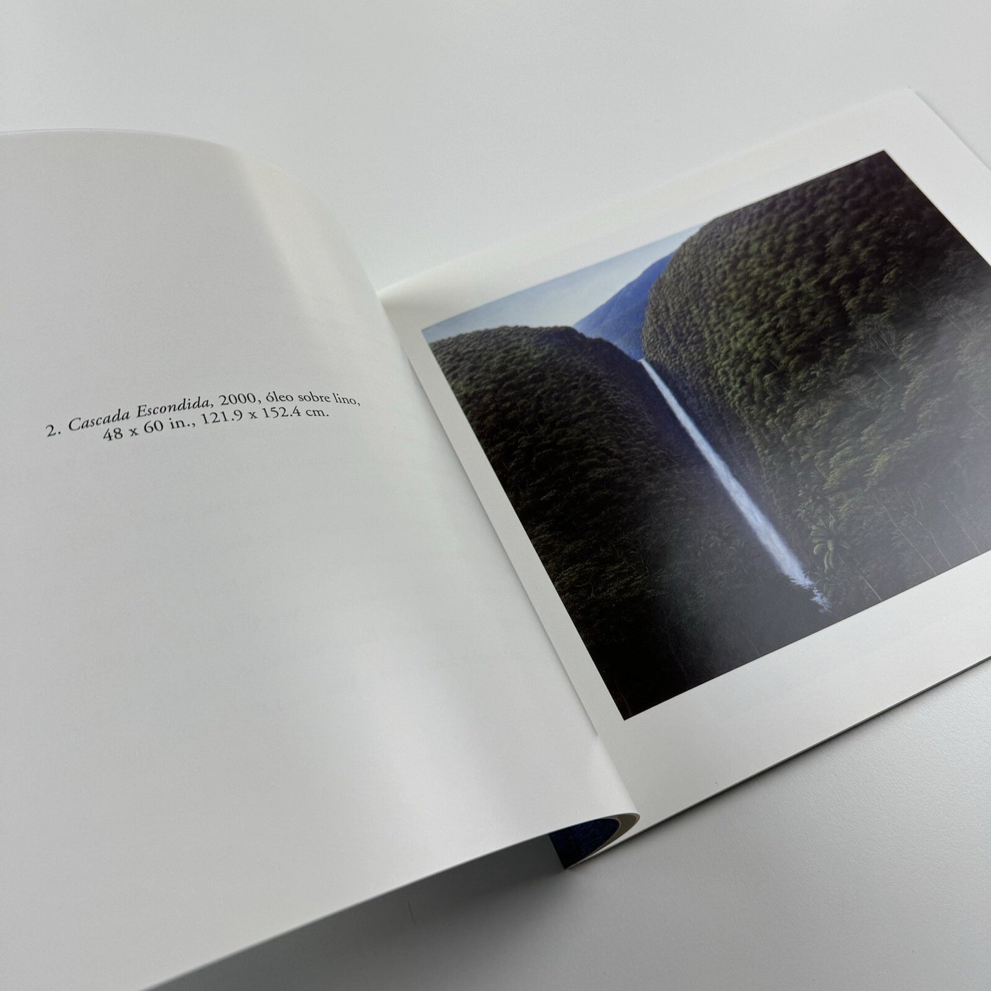 Tomás Sánchez. Obras recientes | Marlborough exhibition catalogue, 2001