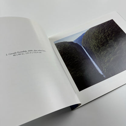 Tomás Sánchez. Obras recientes | Marlborough exhibition catalogue, 2001