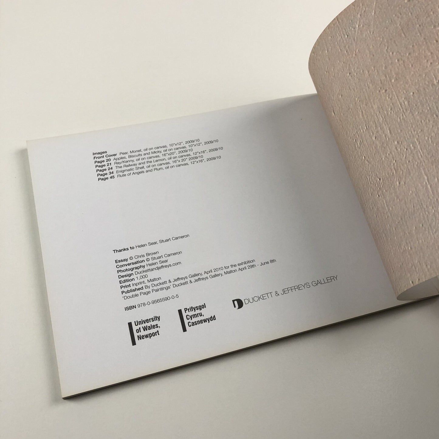 Andreas Rüthi. Double Page Paintings | Duckett & Jeffreys catalogue, 2010