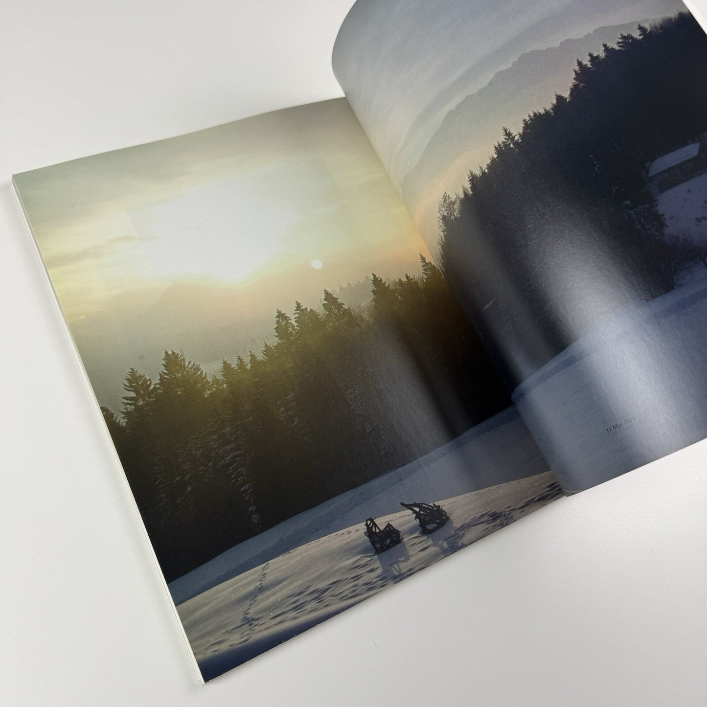Maryam & Rolf Sachs: Wild & Real? | Phillips de Pury & Co catalogue, 2006