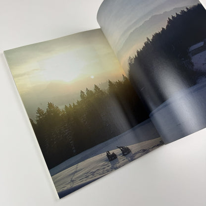 Maryam & Rolf Sachs: Wild & Real? | Phillips de Pury & Co catalogue, 2006