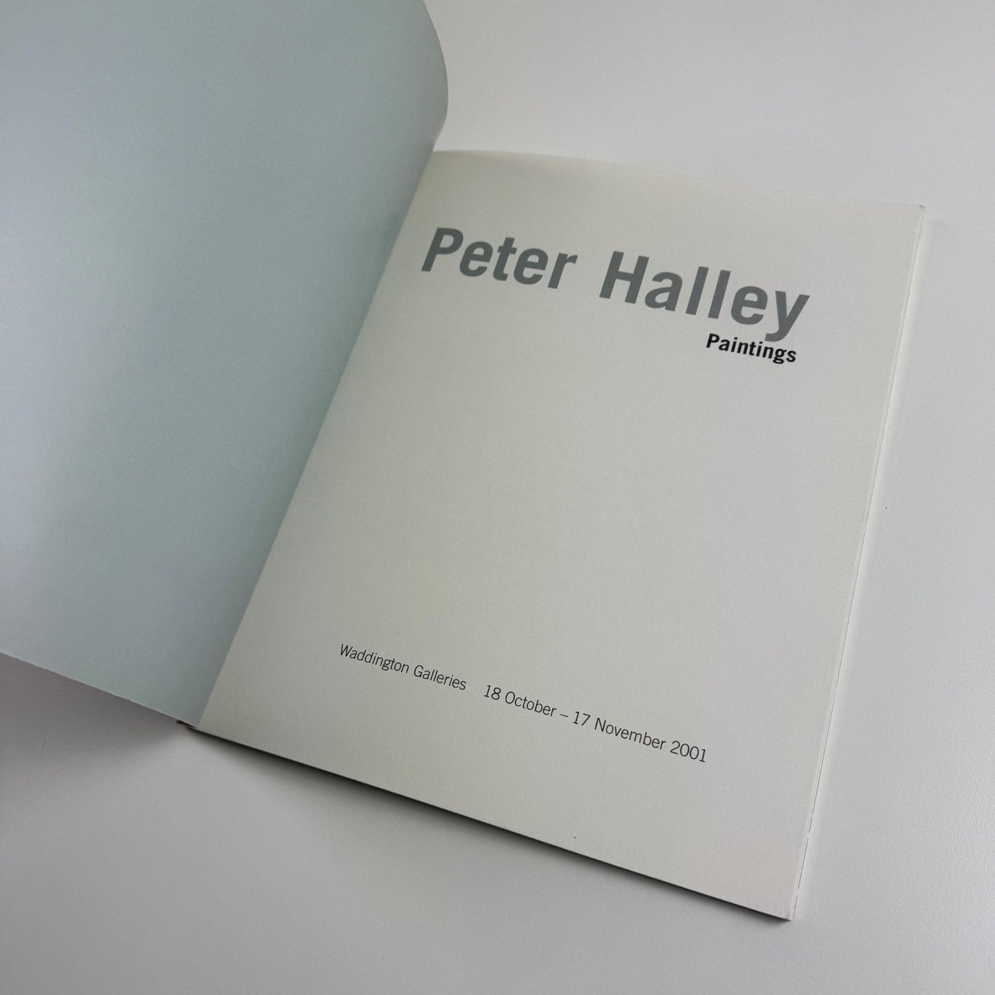Peter Halley. Paintings | Waddington Galleries, 2001