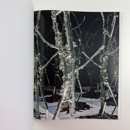 Anthony James. Morphic Fields - Skulpturen | Hatje Cantz, 2014