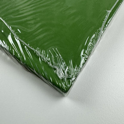 Juan Uslé. Brezales | Cheim & Read, New York 2008 exhibition catalogue