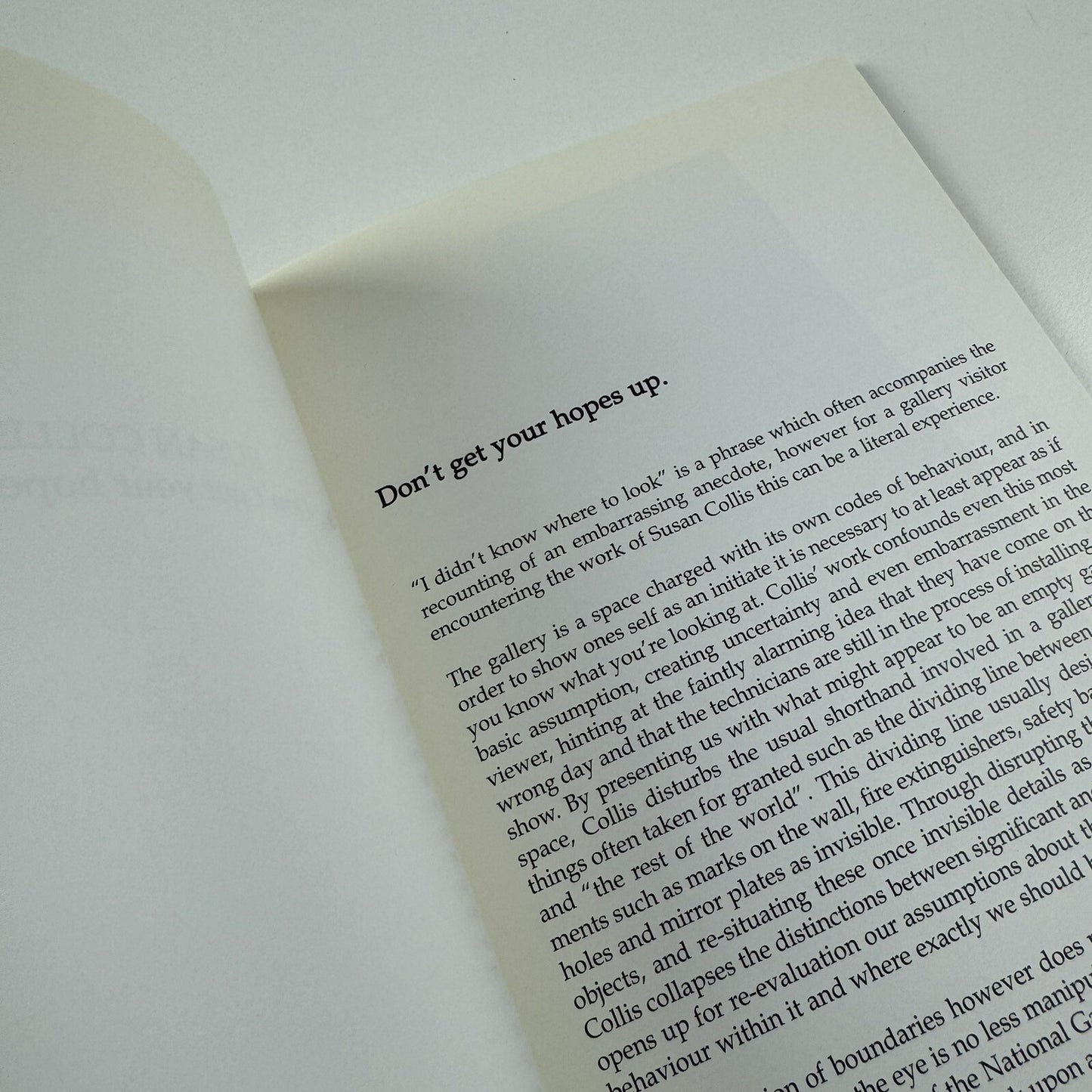 Susan Collis. Don't Get Your Hopes Up | Seventeen Gallery exhibition catalogue, 2007