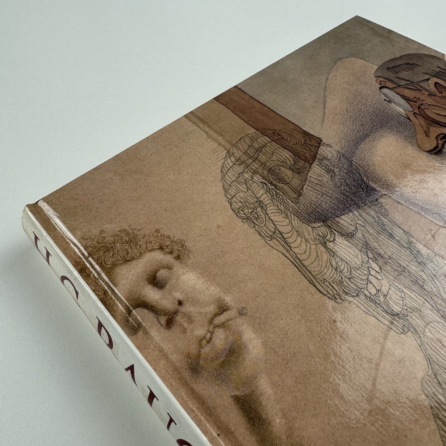H.G. Rauch 1939-1993. Satire Vision | Hans Joachim Neyer | Bearbeitet von Karl Janke. Dumont, 1995