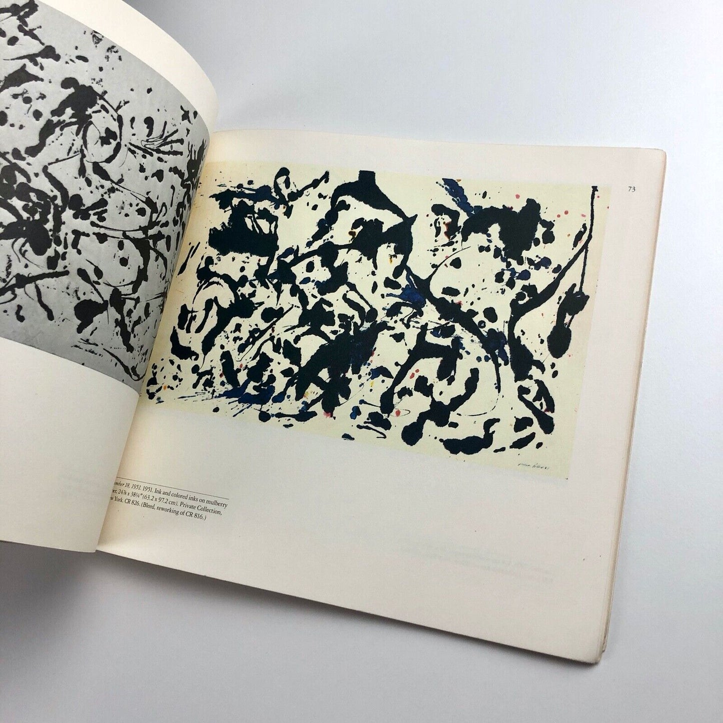 Jackson Pollock: Drawing Into Painting | Bernice Rose | MOMA, 1980