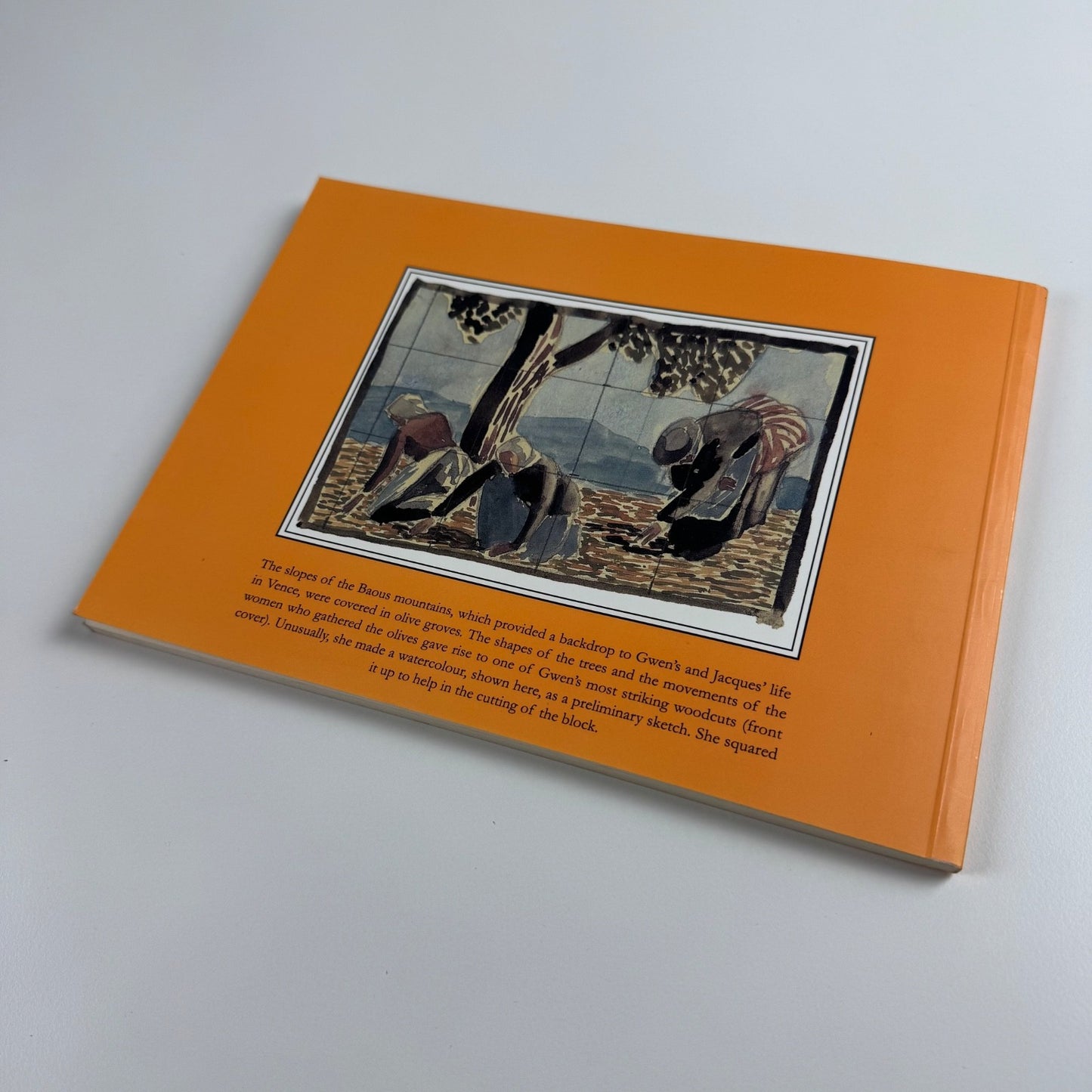 Gwen Raverat in France ed Rosemary Davidson | Broughton House Books, 2004