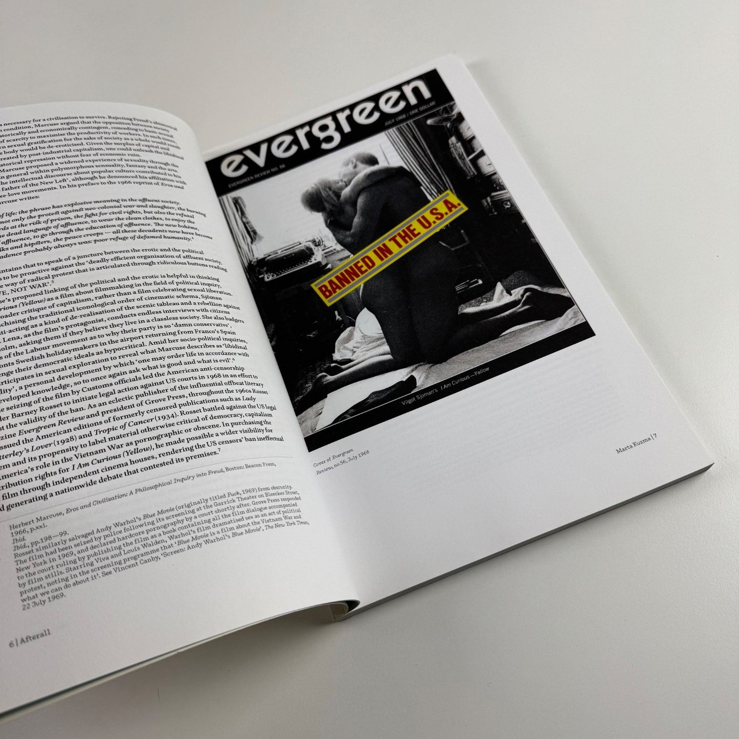 Afterall: A Journal of Art, Context and Inquiry, 17 Spring 2008