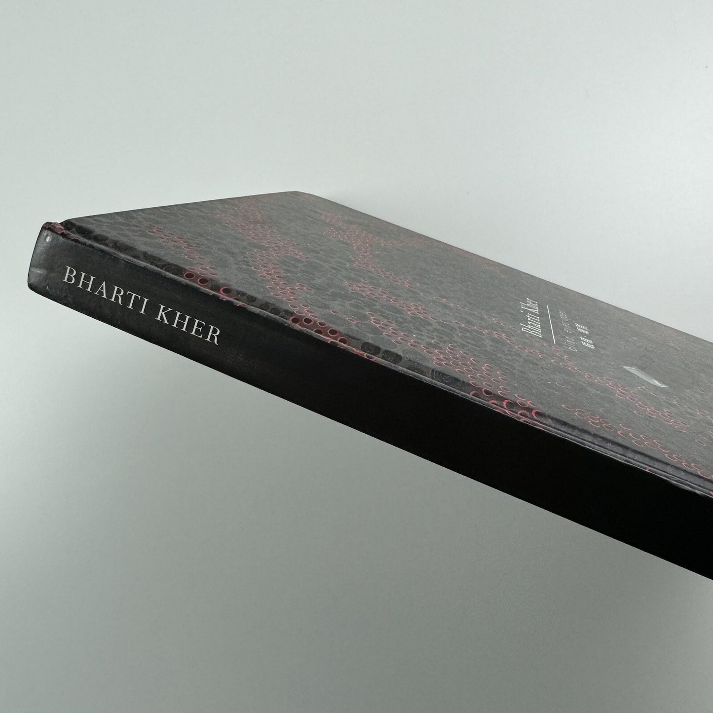 Bharti Kher – Blind, eyes open | Galerie Perrotin 2012 catalogue