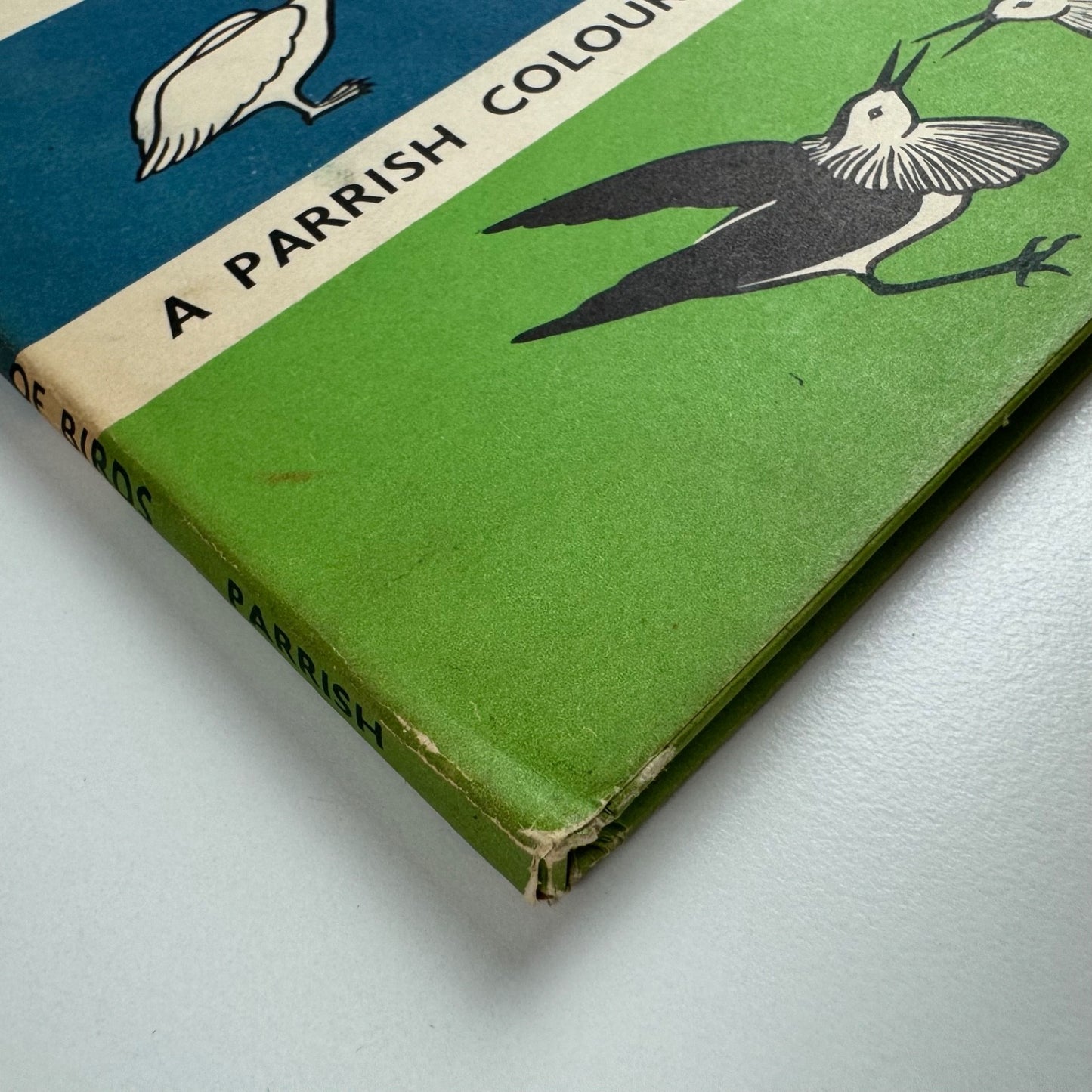 The Wonder World of Birds by Marie Neurath | Max Parrish, 1953 Isotype Institute