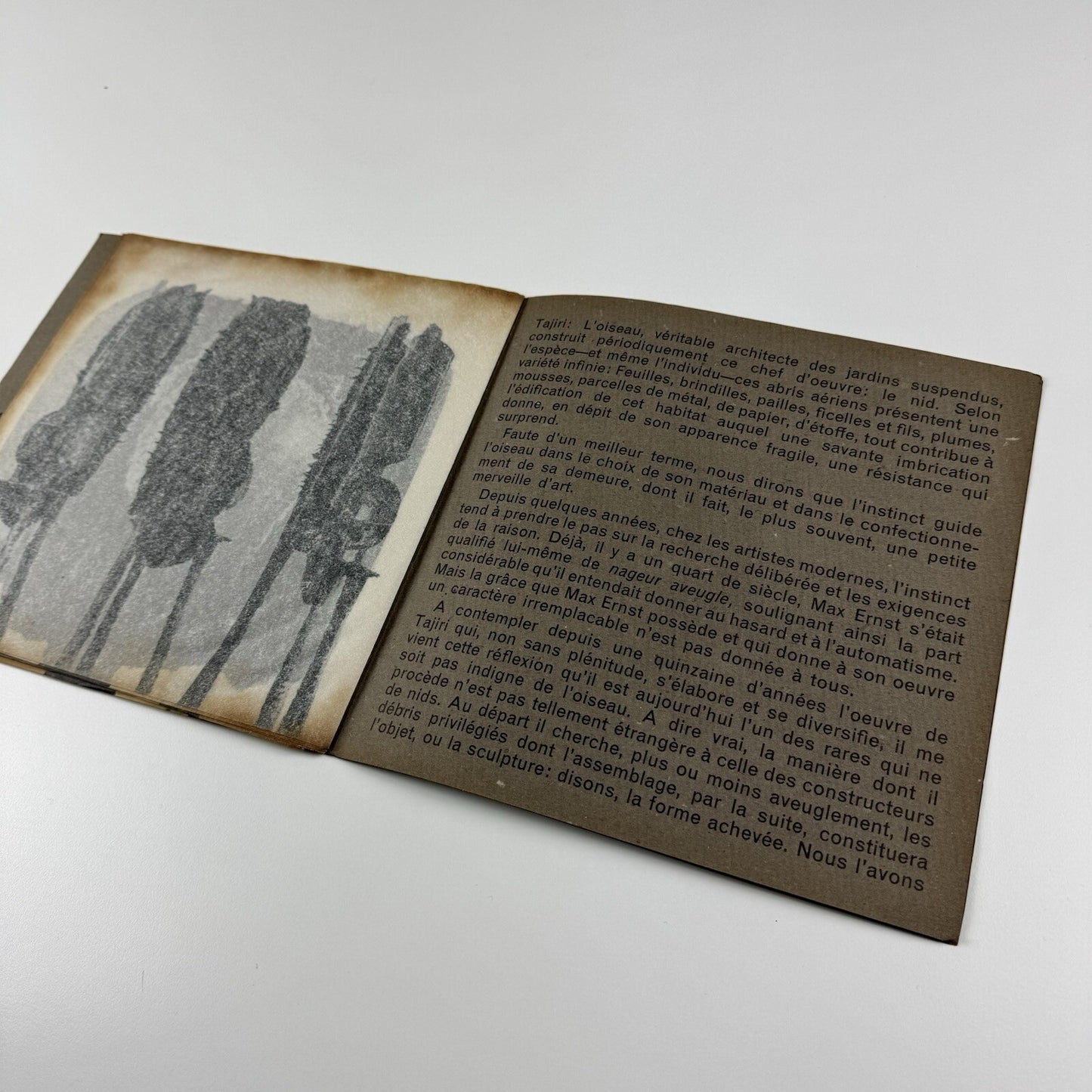 Tajiri Sculpture | Hamilton Galleries, London 1964 catalogue | Text by Patrick Waldberg