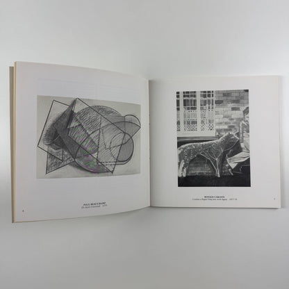 GONESTRWYDD CELFYDDYD / The Probity of Art drawings selected by Patrick Dolan Welsh Arts Council 1980