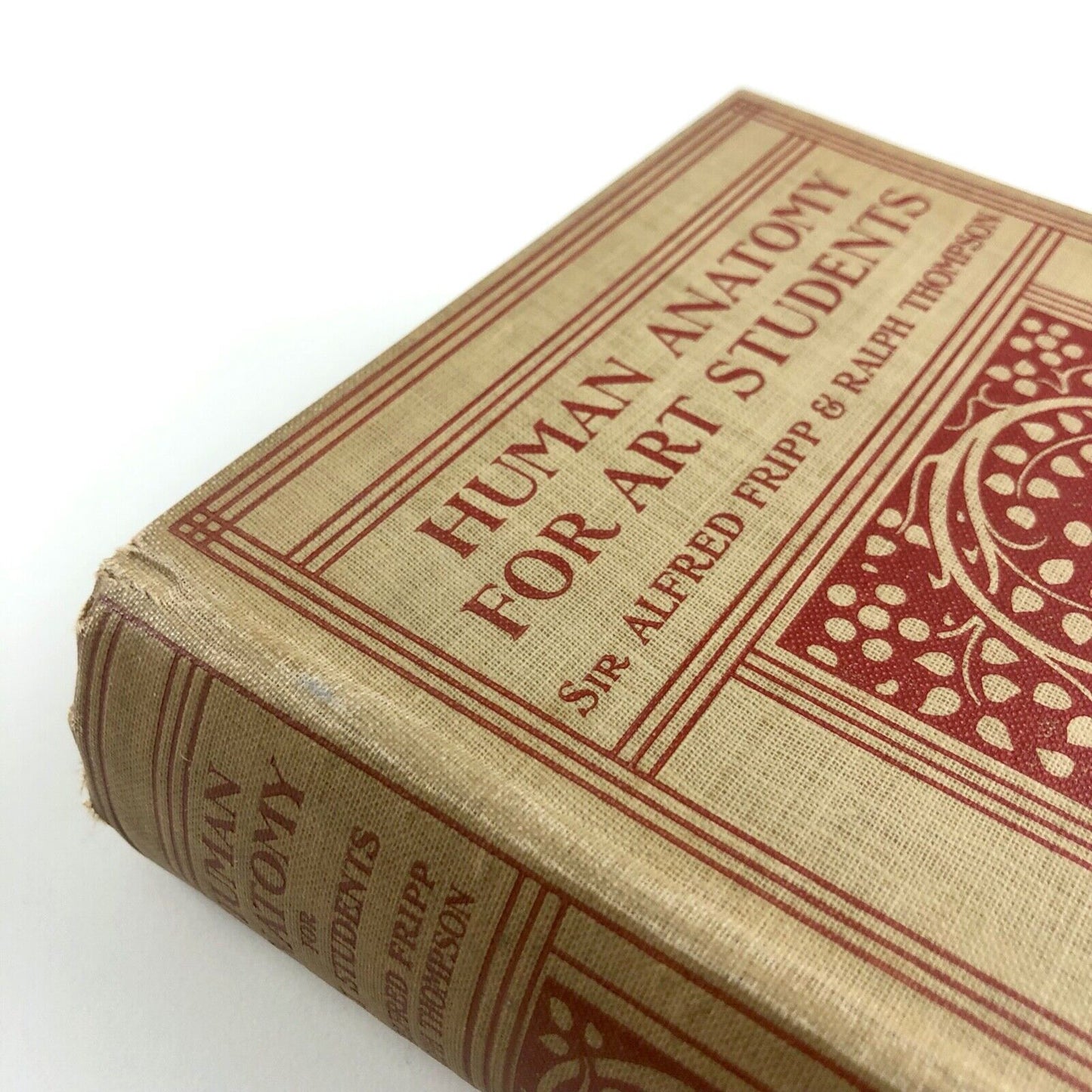 Human Anatomy for Art Students by Sir Alfred Fripp and Ralph Thompson 1911
