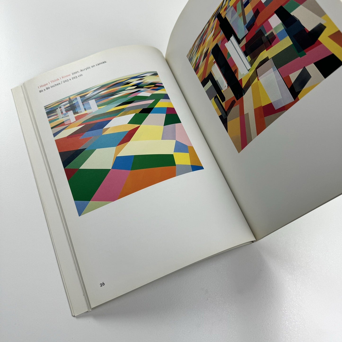 Torben Giehler. Essay by Merrily Kerr | Leon Koenig, New York, 2004