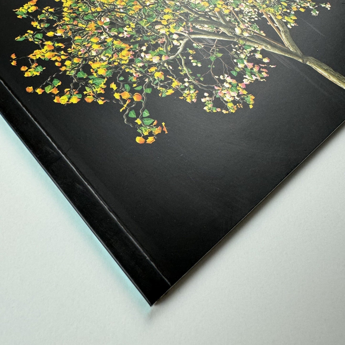 First Open. New Media online only | Christie's catalogue, 20 Sep to 4 Oct 2013